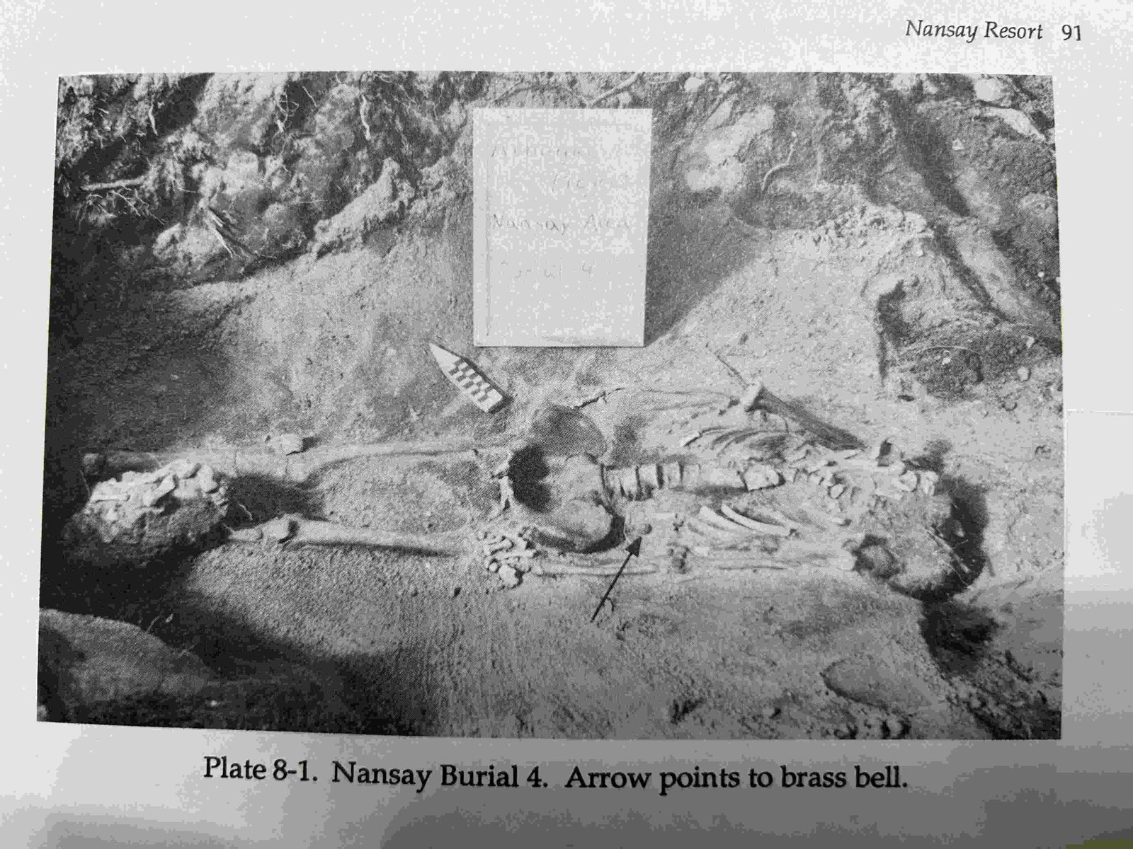 Nansay Parcel: Burial 4